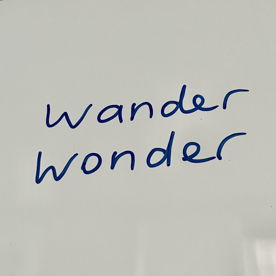 Wonder or wander
